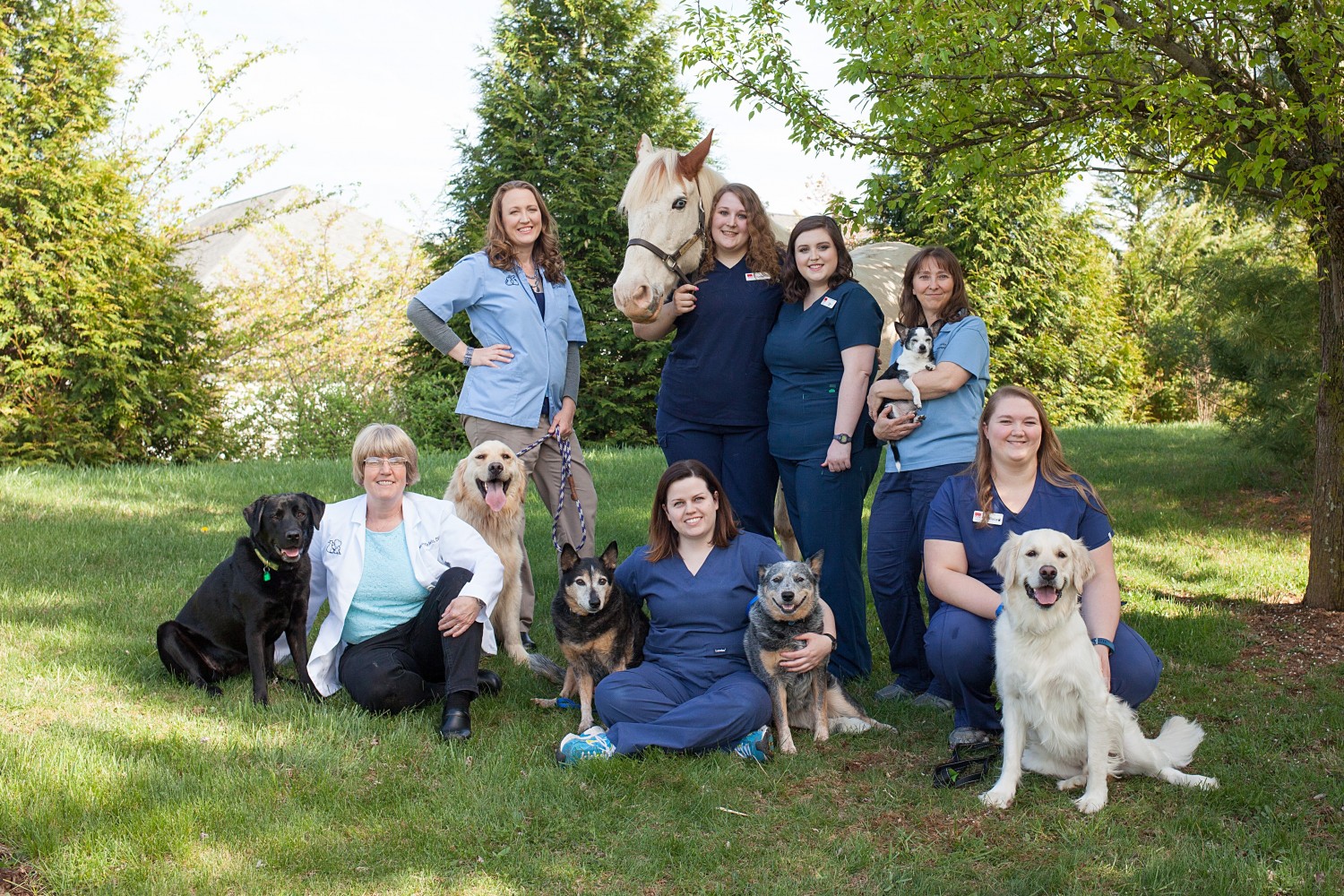 Apple Valley Animal Hospital - Winchester, Virginia - Our Team